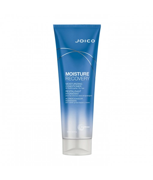 Revitalisant moisture recovery Joico 250ml